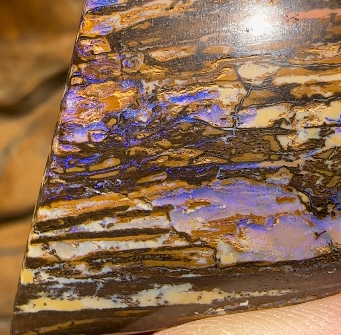 88.5cts - Wonderful Wood Fossil Australian Boulder Opal - Opal Whisperers