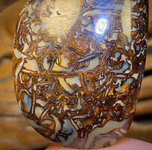 35.9cts - “Cool Concave” Tribal Queensland Boulder Opal. Double Sided!
