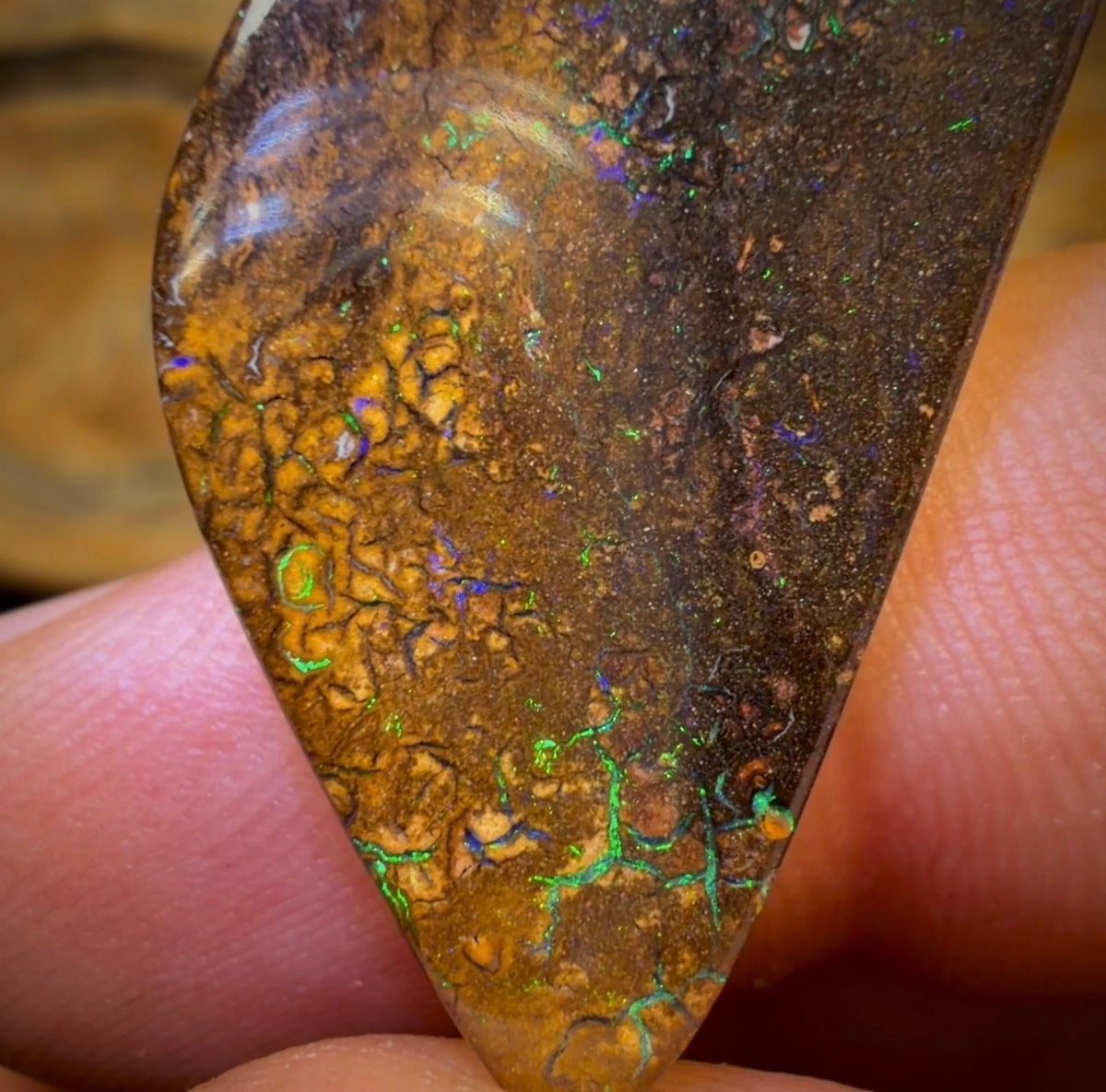 33.3cts - Tan Tribal Yowah Nut Australian Opal. Great Sail Cut