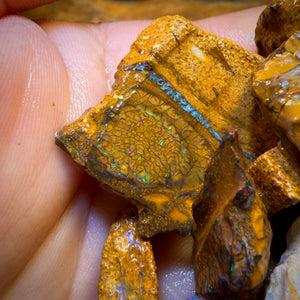 🔒330.5cts - 20x Opalised Wood/Vegetation Fossil Rough Parcel from Yowah