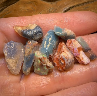 57,9 cts - 9 spécimens géologiques fossiles opalisés de Lightning Ridge