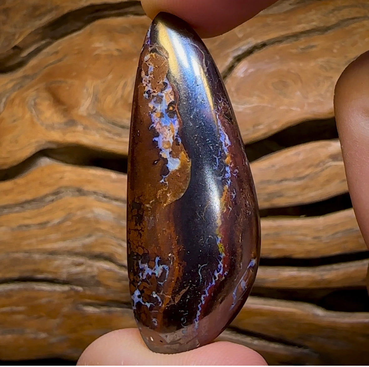 88.3cts - Large Queensland Boulder Opal from Yowah