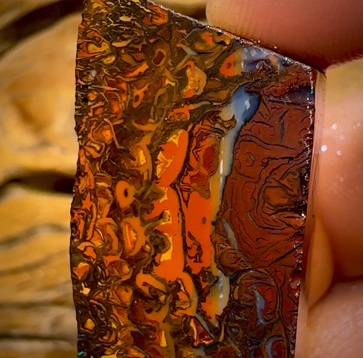 173,1 ct – Rohstück eines Boulderopals aus Koroit, Queensland (Stammesgebiet)