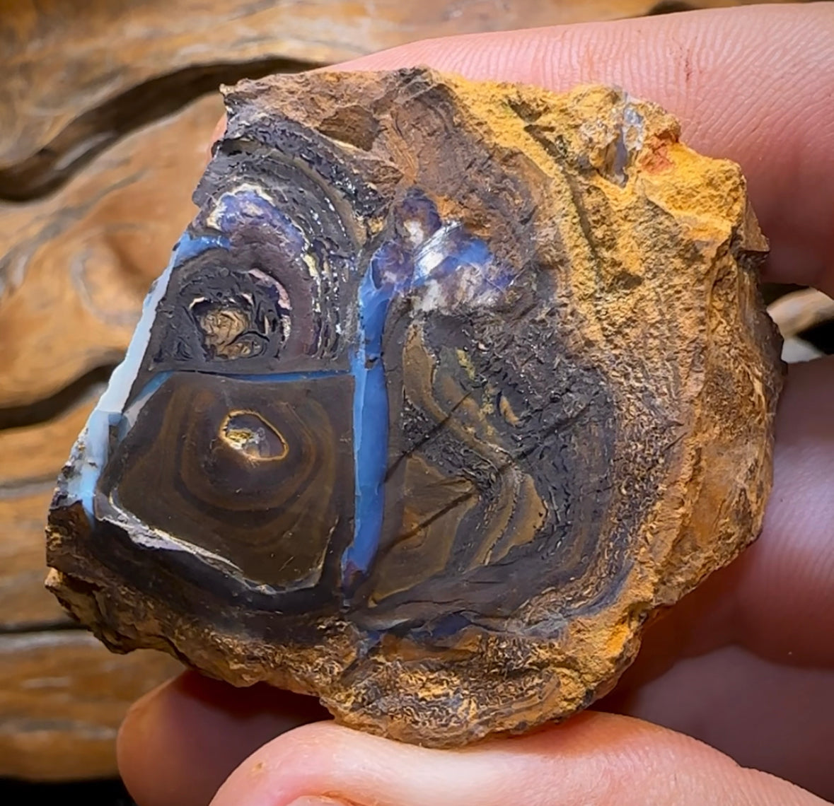 454.2cts - Large Rough Yowah Nut Opal Partial Crystal Centre - Opal Whisperers