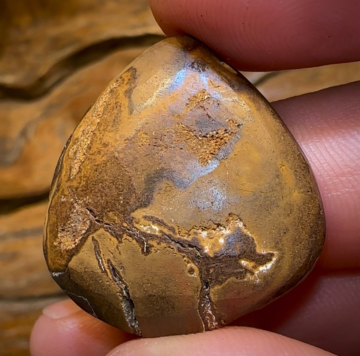 39.7cts - Queensland Boulder Opal - Opal Whisperers