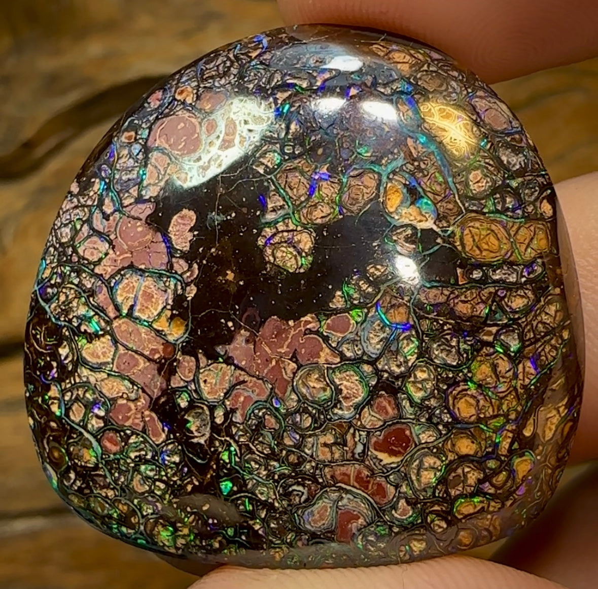 82.3cts - Australian Boulder Opal. Top Tight Tribal Pattern - Opal Whisperers