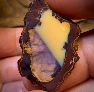 78.3cts - “Fifty Fifty” Yowah Nut Partial Crystal Centre Rough Specimen Pair