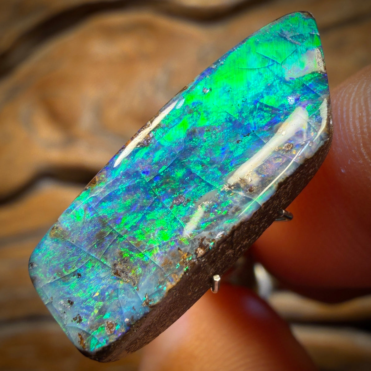 🔨 AUCTION 🔨 Reserve 💎 High Roller Banger Auction 💎 12.1cts - Queensland Boulder Seam Opal
