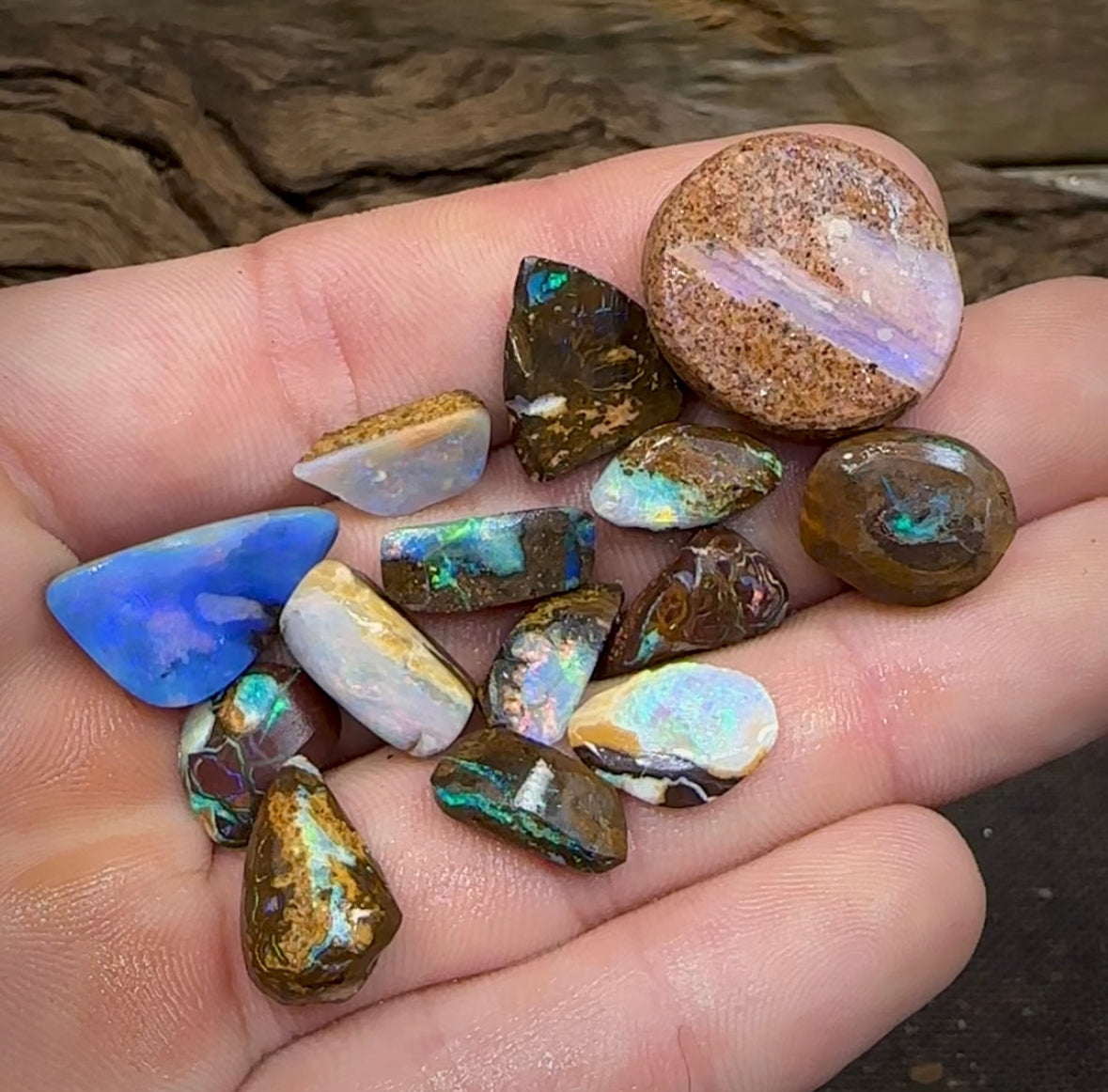74.3cts - 14 x Boulder Rough Opal Cutting Material