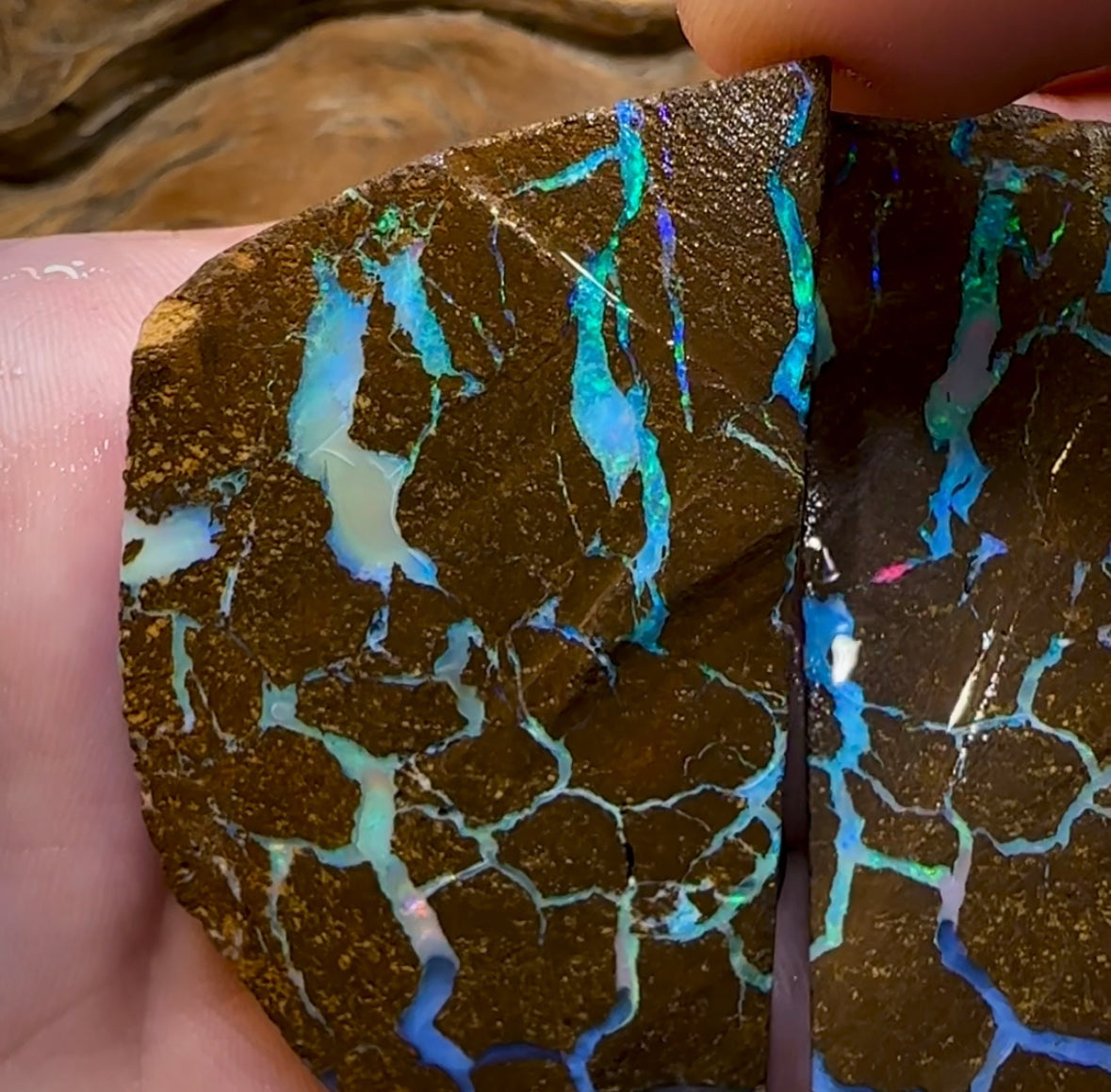 262.2cts - Large Australian Boulder Opal Rough Pair - Opal Whisperers