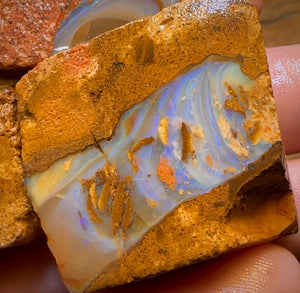 323.9cts - 3x Queensland Boulder Pipe Opal Rough Parcel