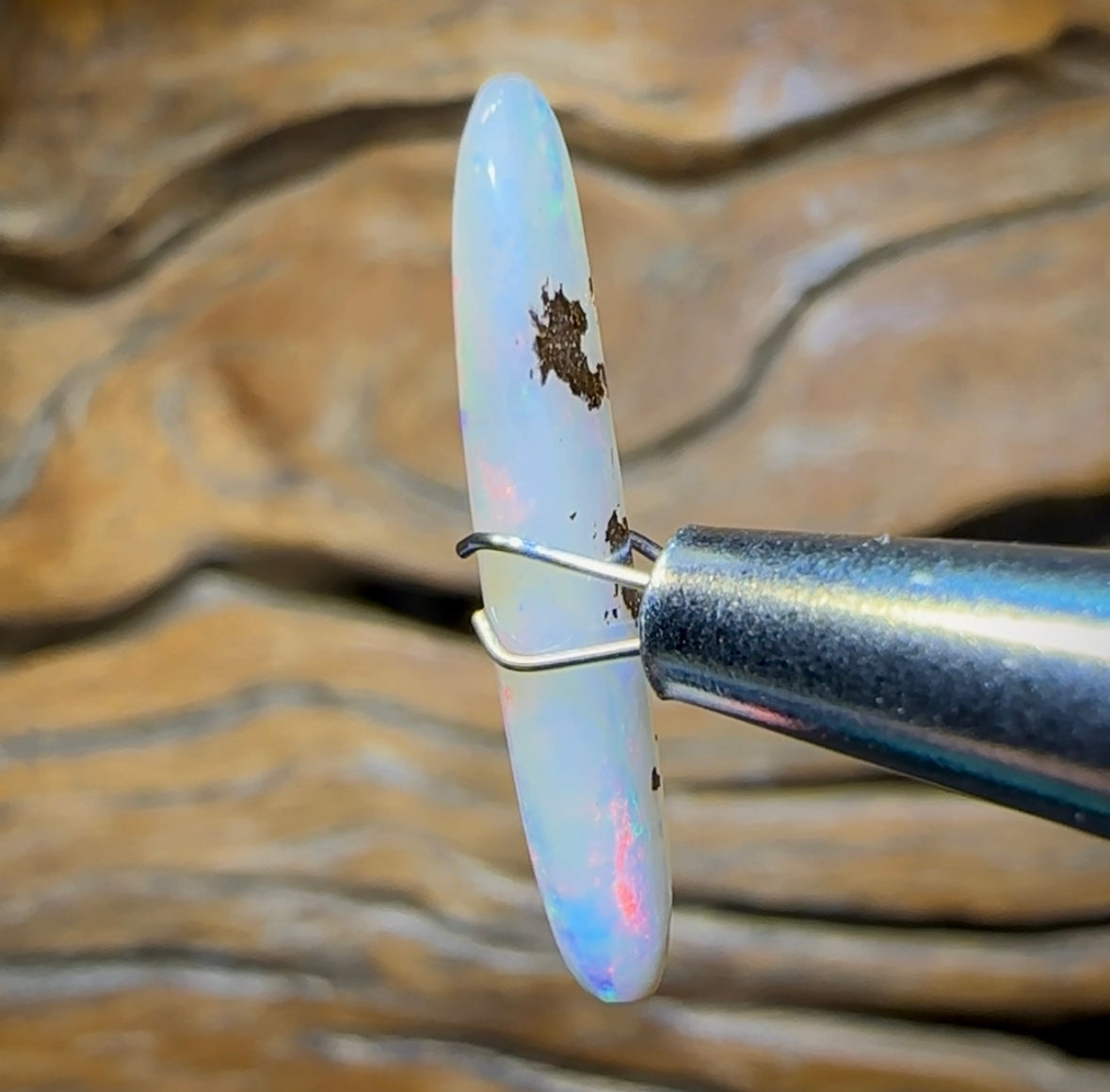 2.6cts - Queensland Boulder Crystal Opal. Australian Opal - Opal Whisperers