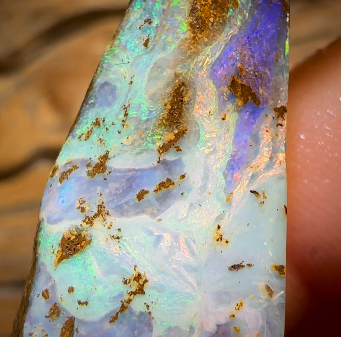 “Snow Reef” 33.6cts - Queensland Boulder Seam Opal Rub