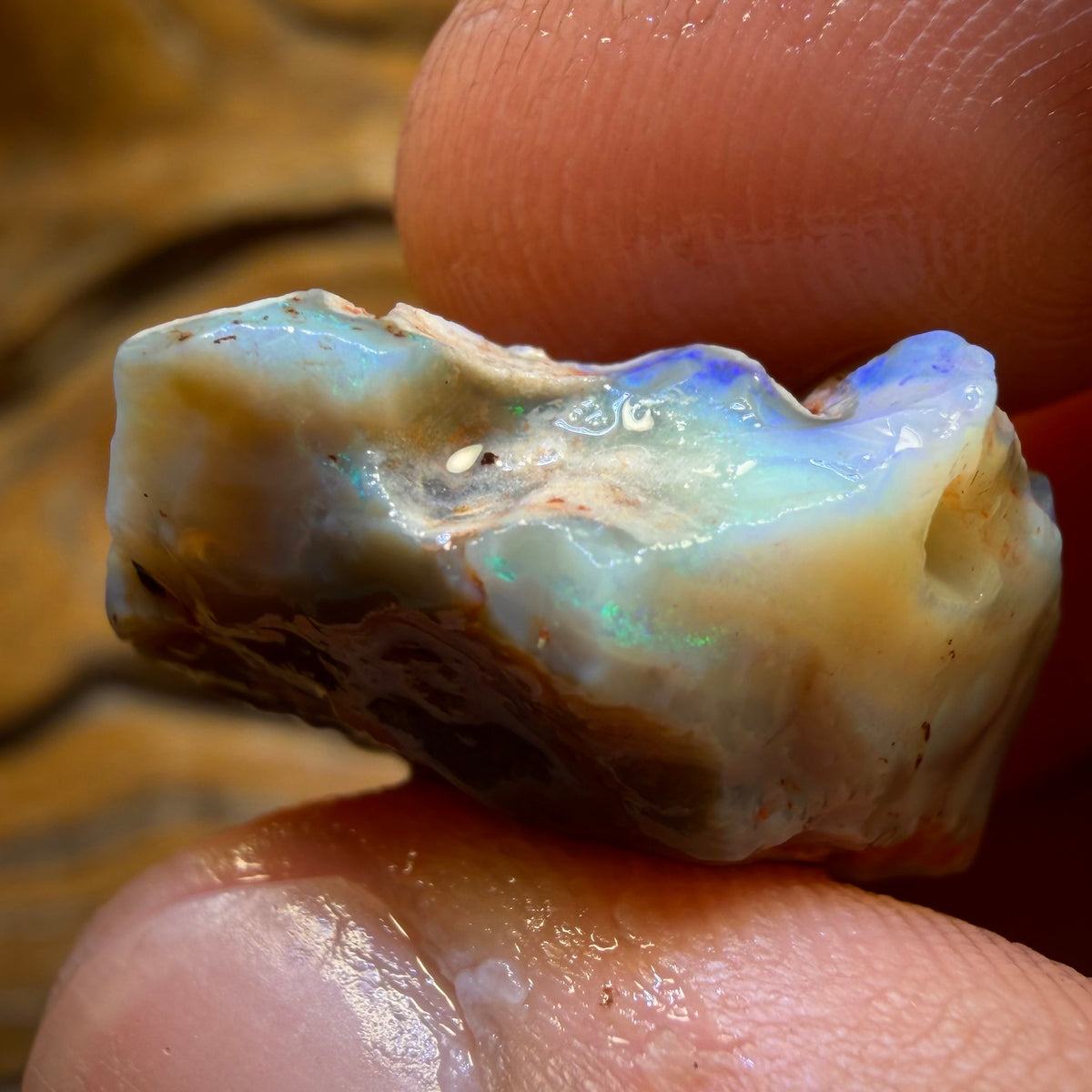 28.7cts - Lightning Ridge Dark Opal Rough Piece