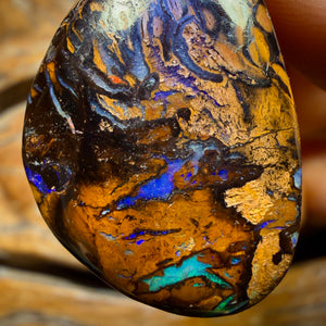 31 x 21mm - Drilled Tribal Queensland Boulder Opal Necklace