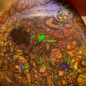29.3cts - Tribal Yowah Nut Opal. Electric Green