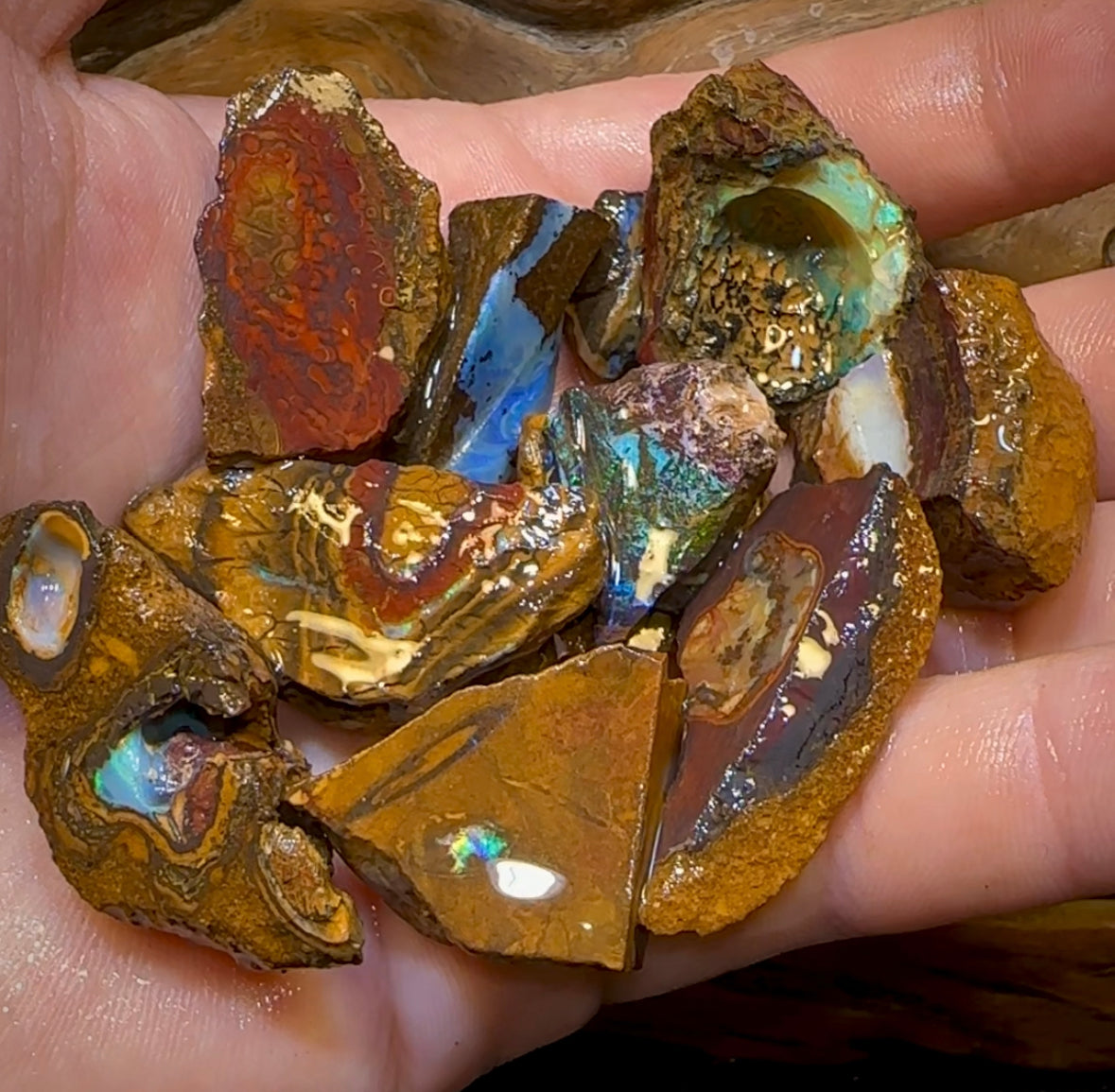 436.8cts - 12x Yowah Opal Rough Pieces. Australian Boulder Opal - Opal Whisperers