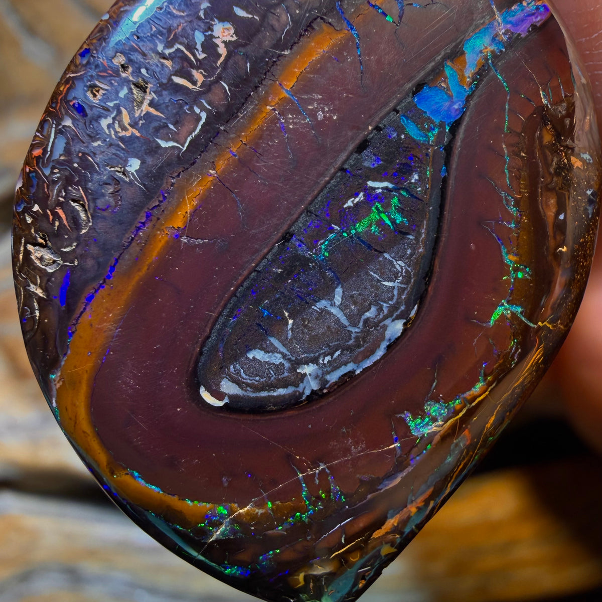38 x 27mm - “Wale” Drilled Tribal Queensland Boulder Opal Picture Stone Necklace