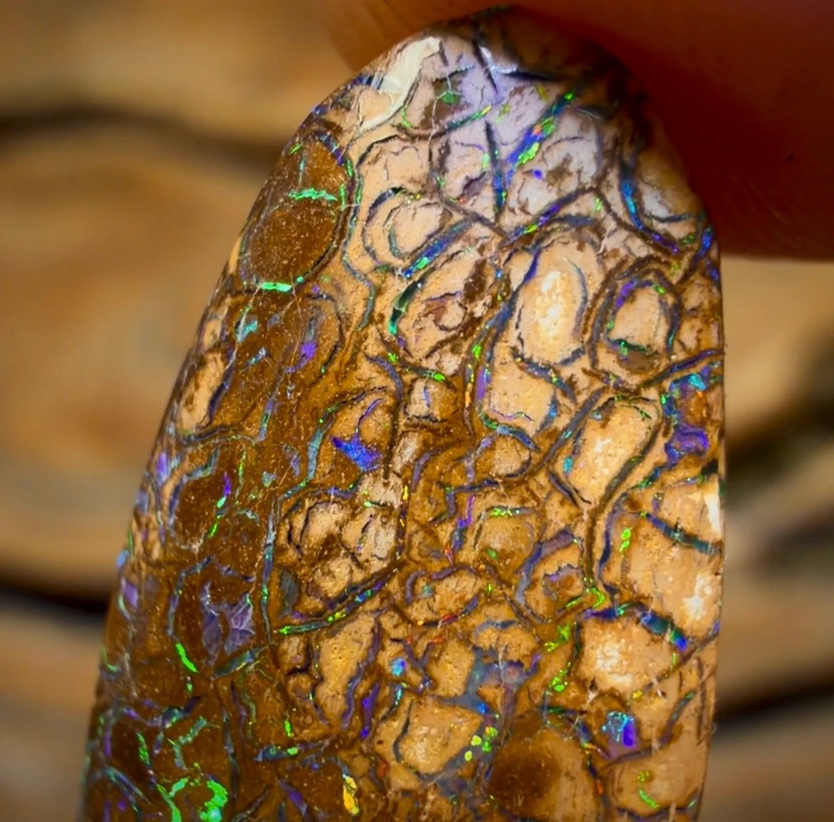 Wild Card! 10.8cts - Tan Tribal Australian Boulder Opal from Yowah
