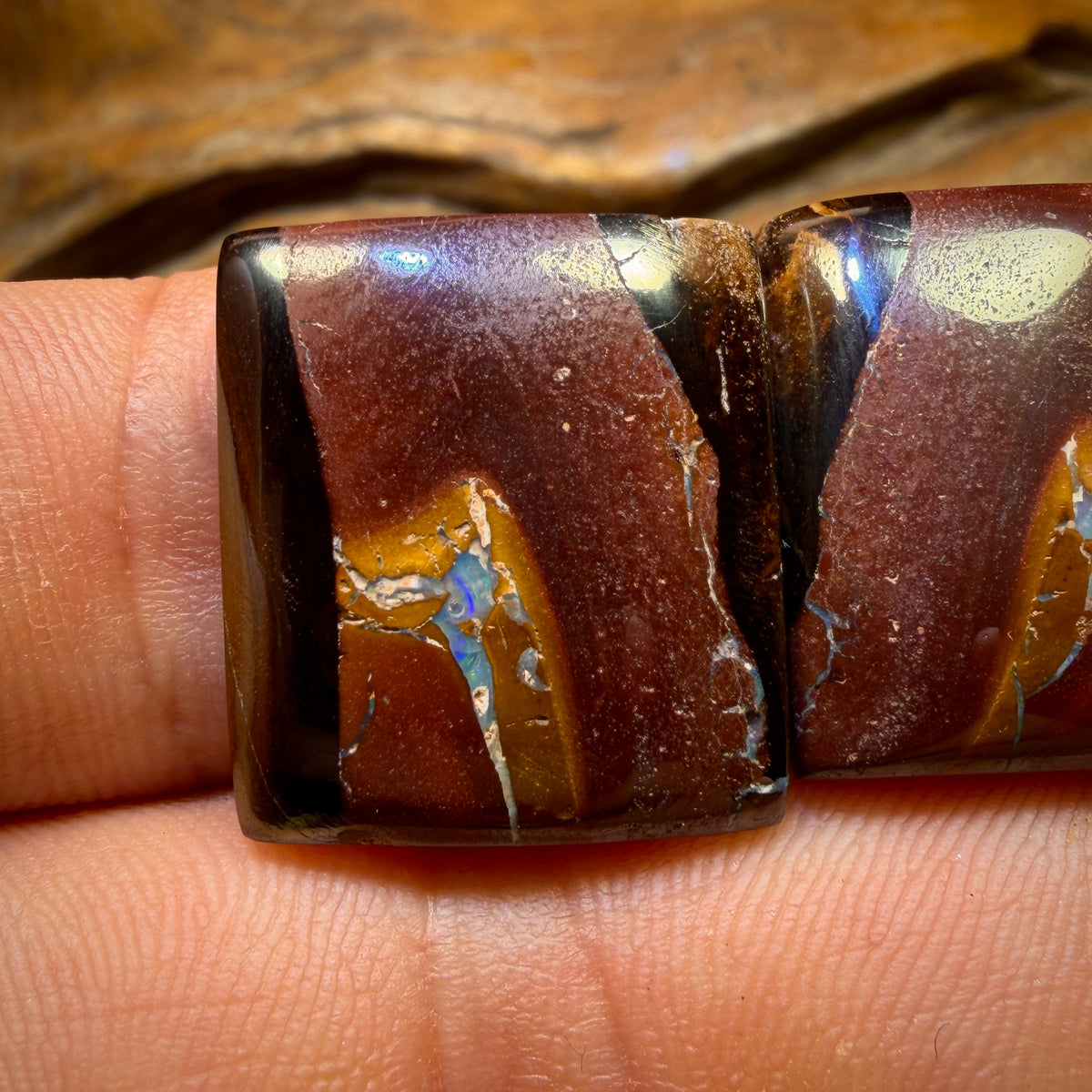 Wild card! 48.1cts - Queensland Boulder Opal Pair from Yowah