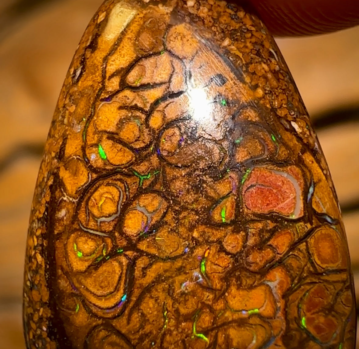 11.7cts - Tribal Queensland Boulder Opal from Yowah