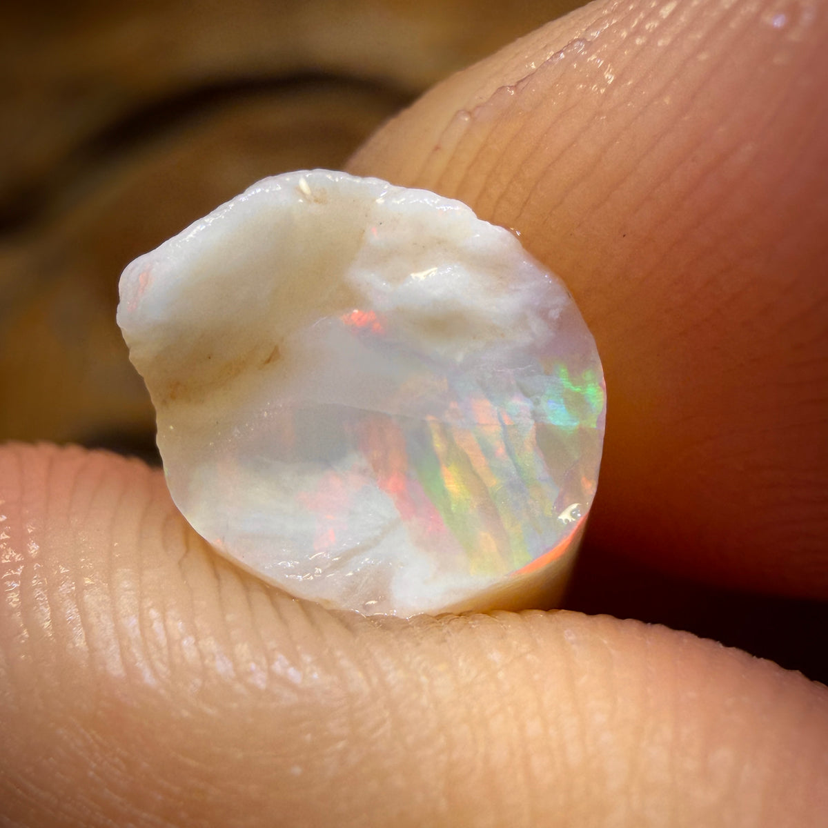 11.8cts - Opalised Belemnite Geological Specimen from South Australia