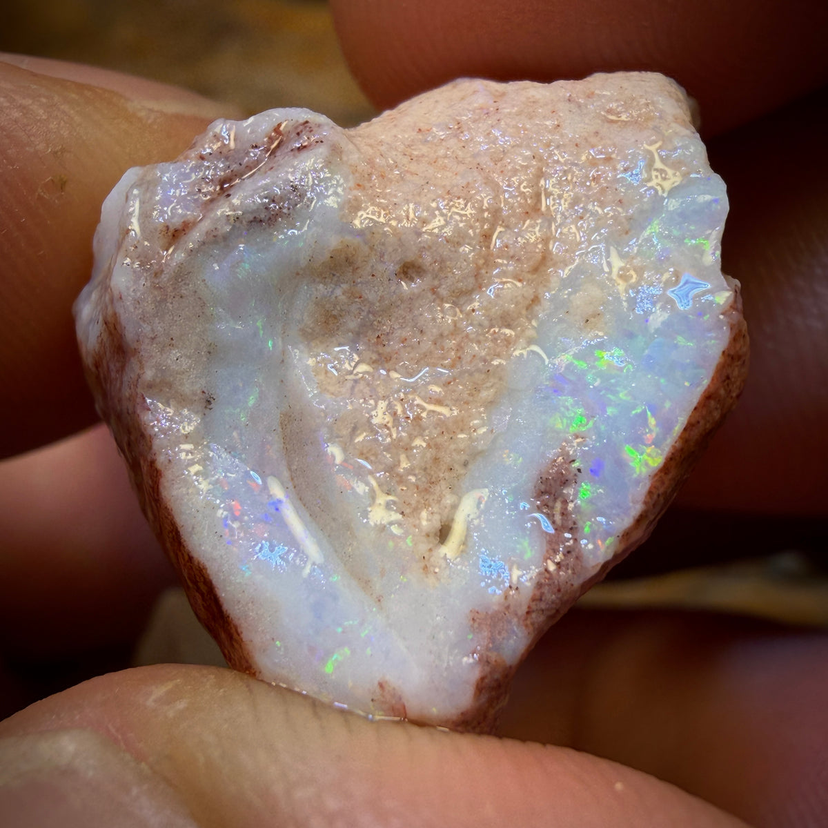 75.1cts - 3x South Australian White Opal Rough Parcel