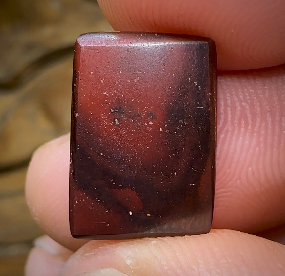 10.6cts - Yowah Nut Kernel Opal - Opal Whisperers