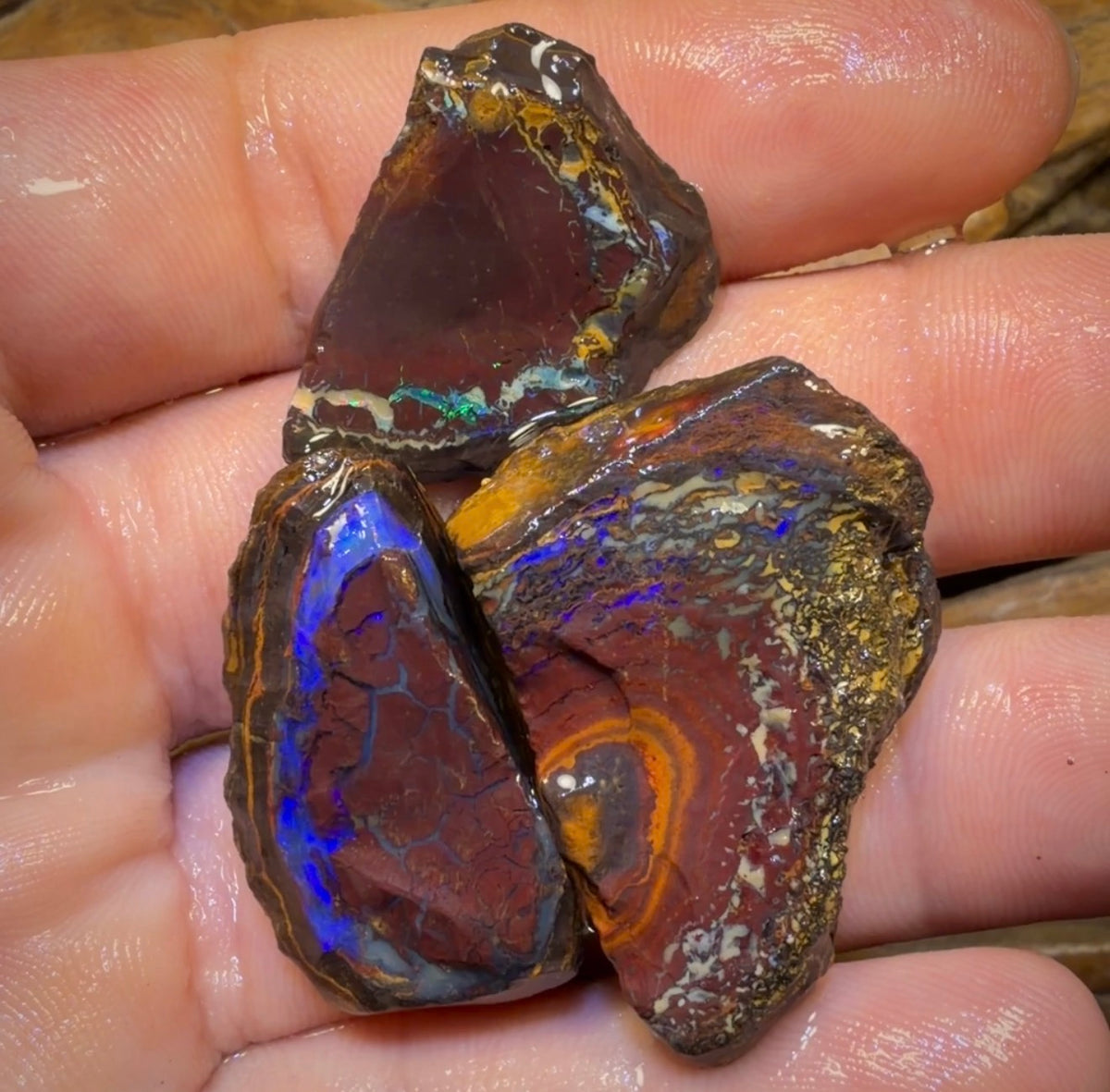 🔒157,6 cts - Lot de 3 opales brutes Yowah Nut. Opale boulder australienne