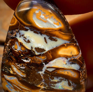 34.6cts - Queensland Boulder Opal from Yowah