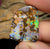 43.5cts - Solid QLD Boulder Opal - Opal Whisperers