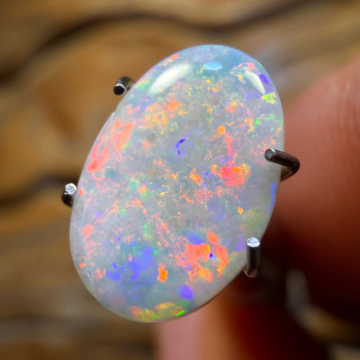 🔨 AUCTION 🔨 No Reserve 1.7cts - Rare South Australian Dark Opal from Mintabie