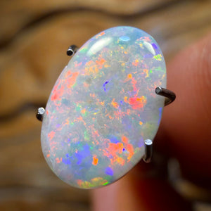 🔨 AUCTION 🔨 No Reserve 1.7cts - Rare South Australian Dark Opal from Mintabie