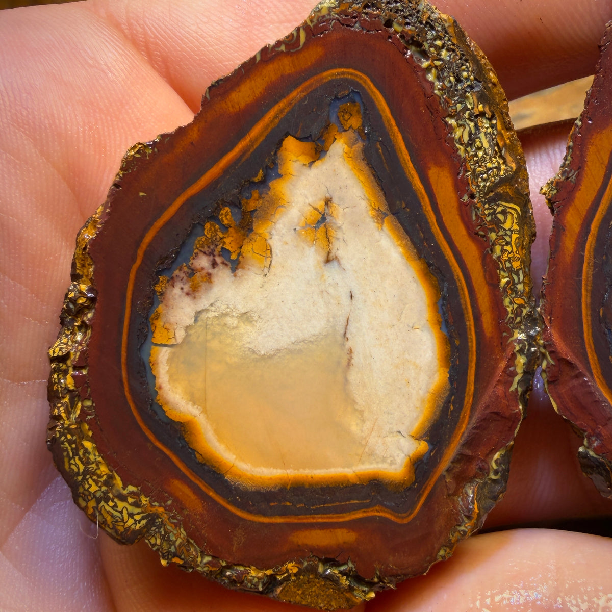 Bargain Card! 353.5cts - RARE Yowah Nut Partial Crystal Centre Rough Specimen Pair