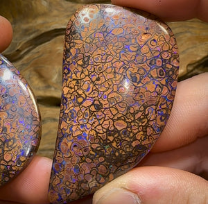 342.7cts - Yowah Nut Opal Specimen Pair. TRIBAL PATTERN