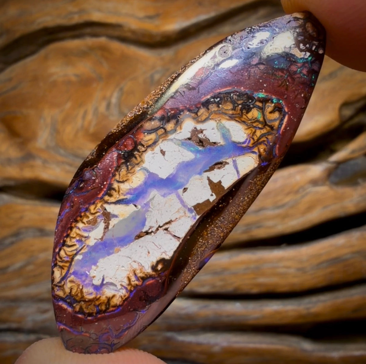 54.8cts - Yowah Nut Kernel Opal. Australian Boulder Opal