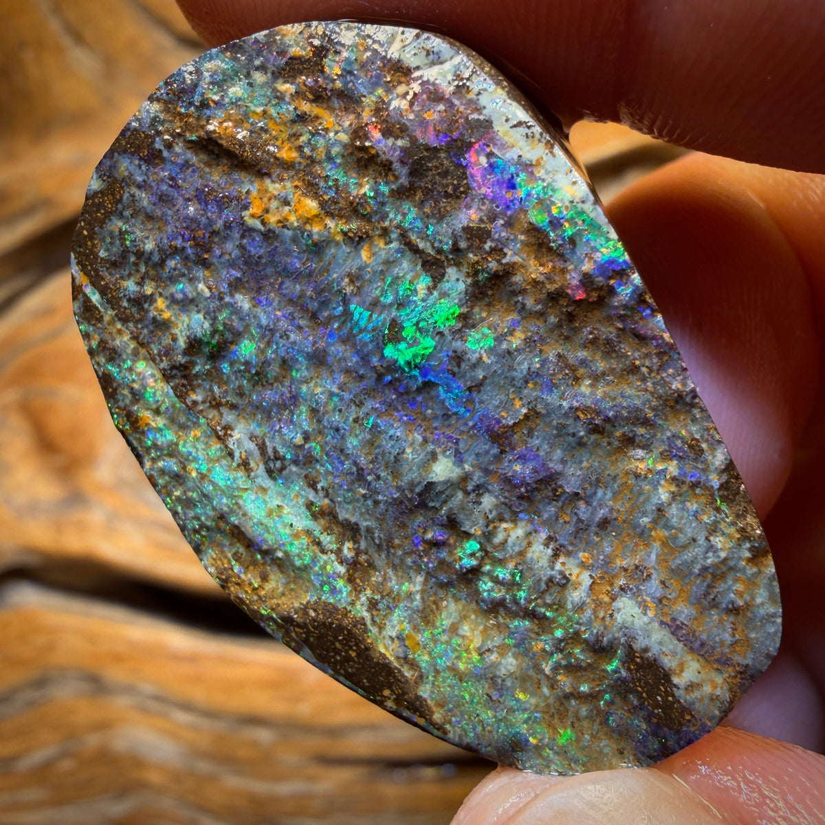 103.3cts - Dremel Dream Queensland Boulder Seam Opal Rough Piece. Natural Split