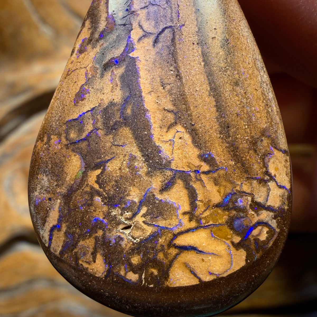Wildcard! 40 x 25mm - Drilled Tribal Queensland Boulder Opal Necklace
