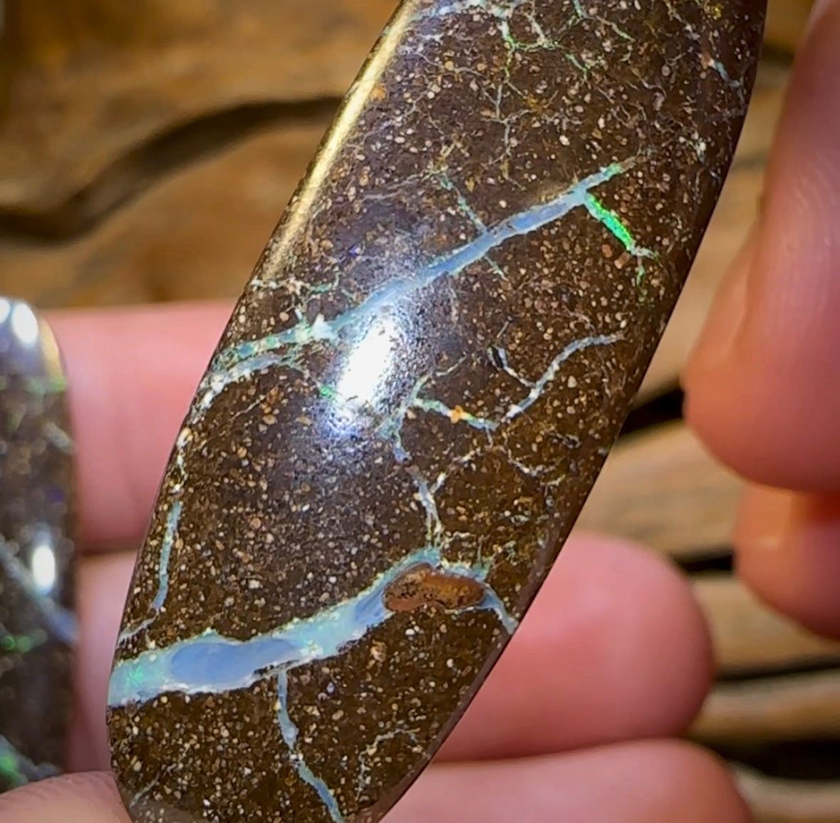 32.7cts - “Opal Web”Australian Boulder Opal Pair - Opal Whisperers