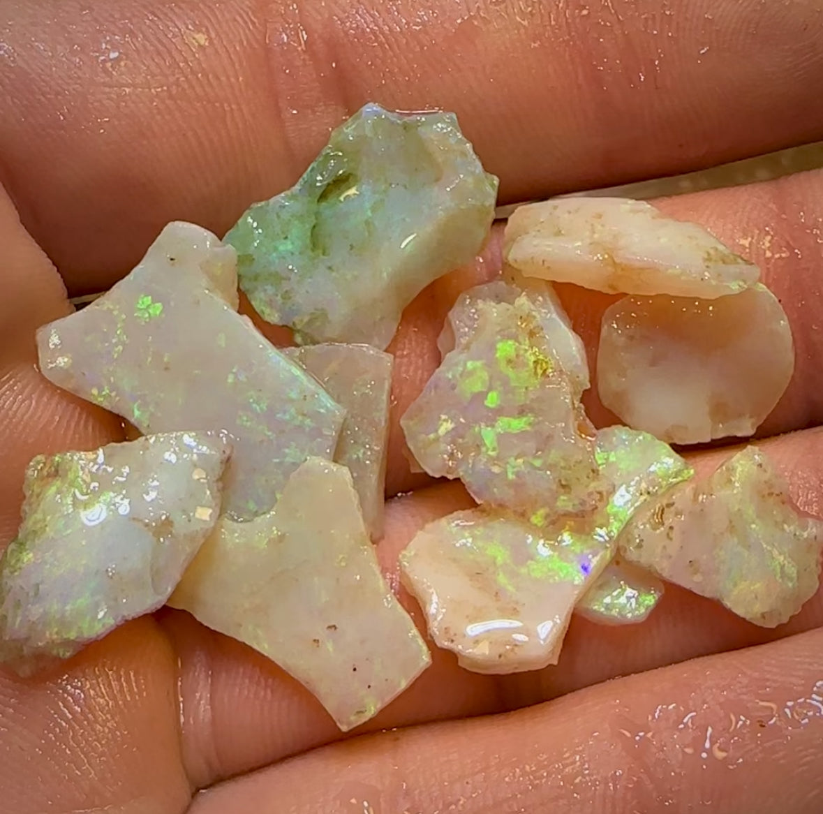 32.8cts - 13x Lightning Ridge Light Opal Rough Parcel