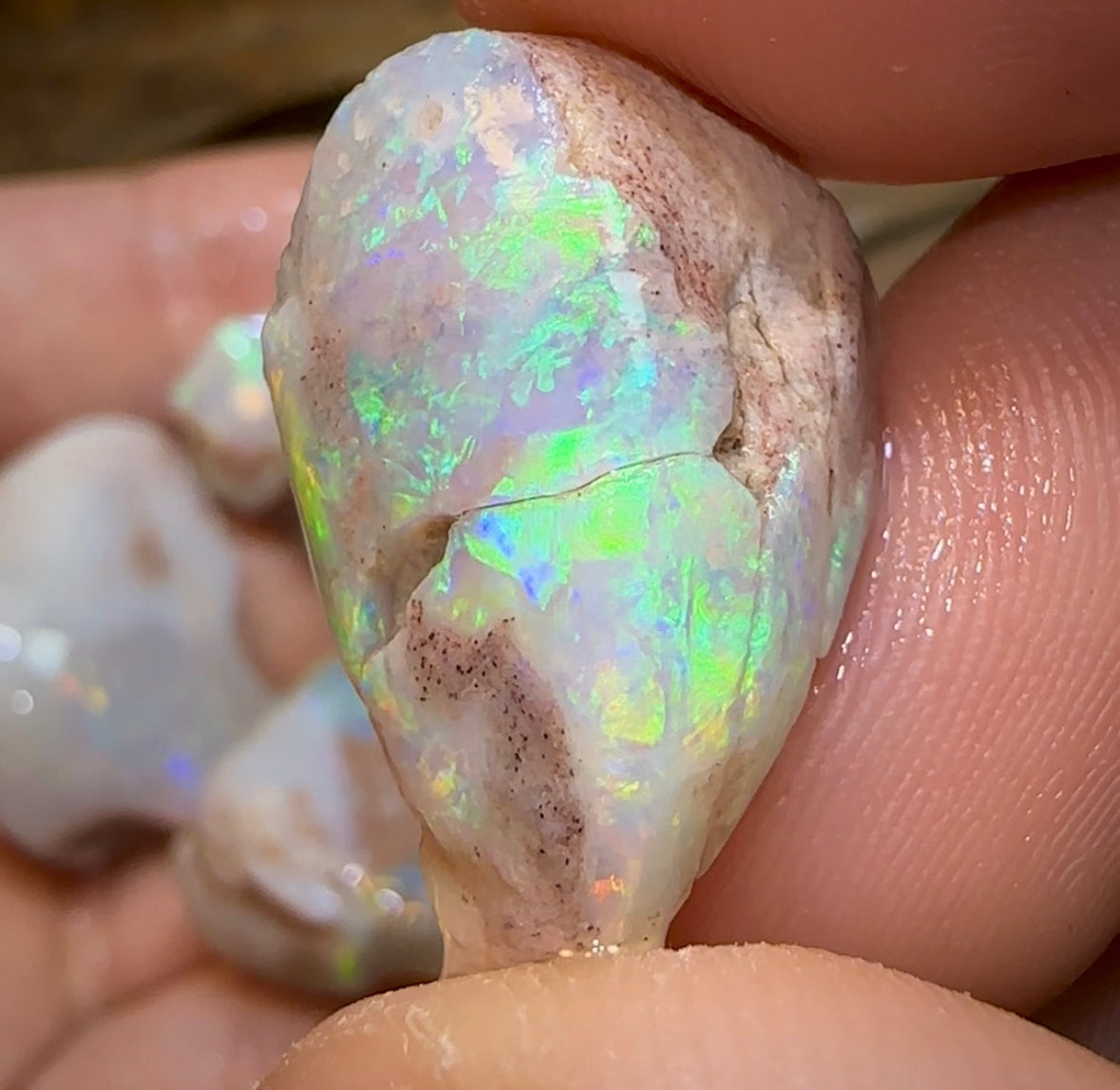 The 86.6cts - 4x Opalised Shell Geological Specimens from South Australia - Opal Whisperers