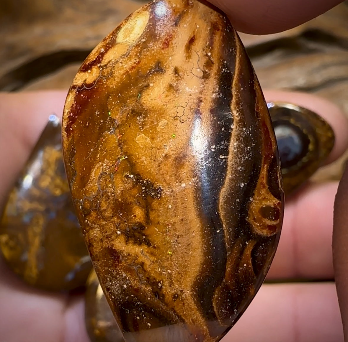 🔒169.8cts - 6x Finished Queensland Boulder Opal Parcel Cutting Cost Only