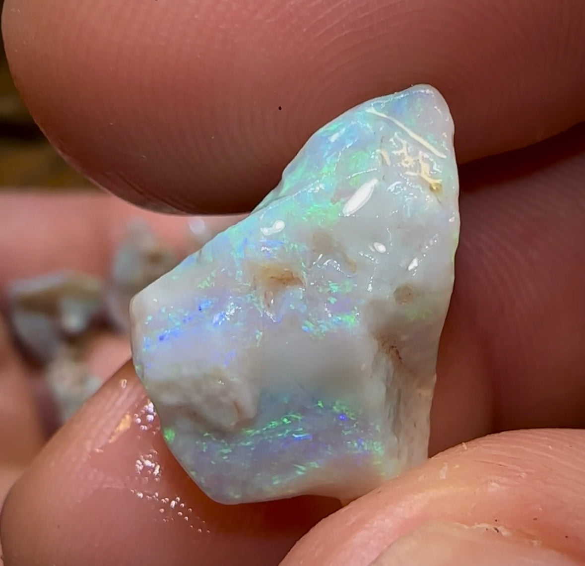 58.55cts - 11x Lightning Ridge Dark and Light Opal Rough Parcel - Opal Whisperers
