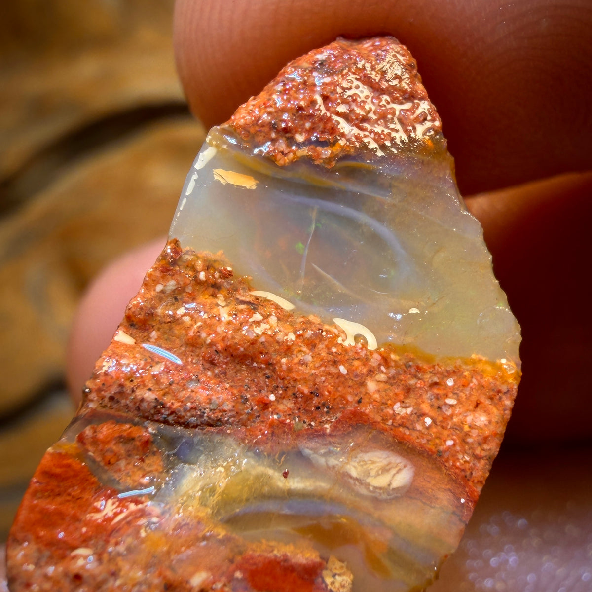 🔨 AUCTION 🔨 62.5cts - Boulder Pipe Opal Rough Piece. Australian Opal