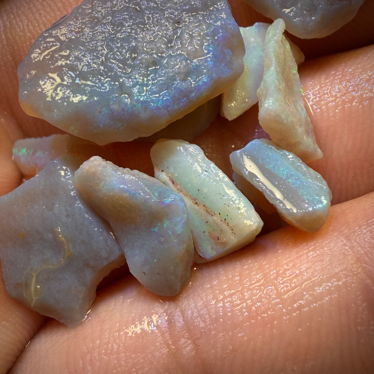 35.6cts - 13x South Australian Dark Opal Rough Parcel