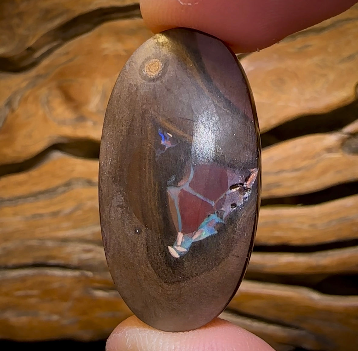 49.4cts - Large Tribal Boulder Opal from Yowah Cool Picture Stone
