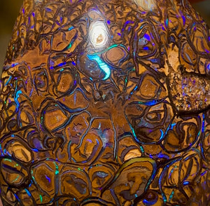 33.7cts - Yowah Nut Opal. Tribal Pattern