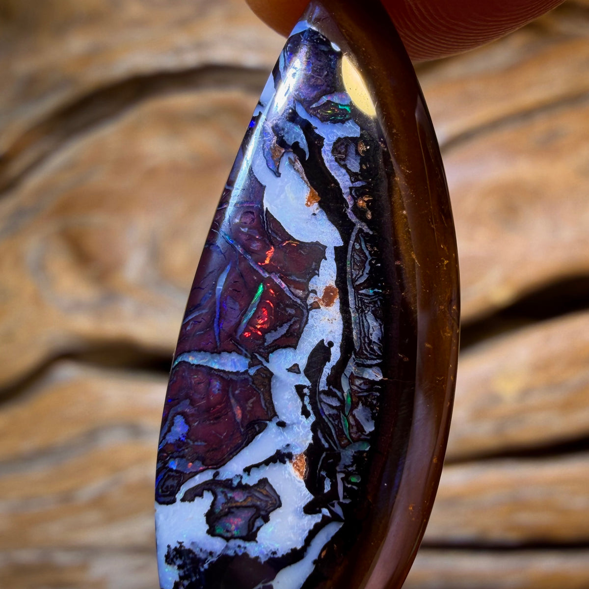TGIF 24.1cts - Tribal Queensland Boulder Opal. Australian Opal