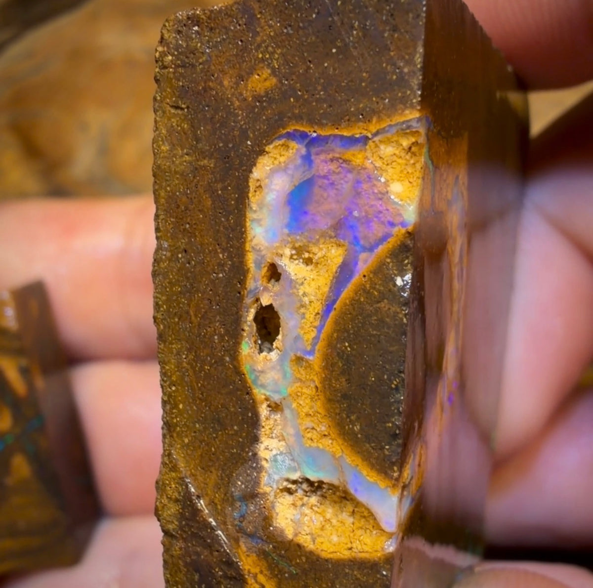 🔒Dealers Wildcard 507.7cts - 2x Australian Boulder Seam Opal Rough Pieces
