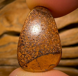 11.7cts - Tribal Queensland Boulder Opal from Yowah